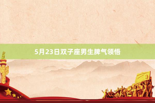 5月23日双子座男生脾气领悟