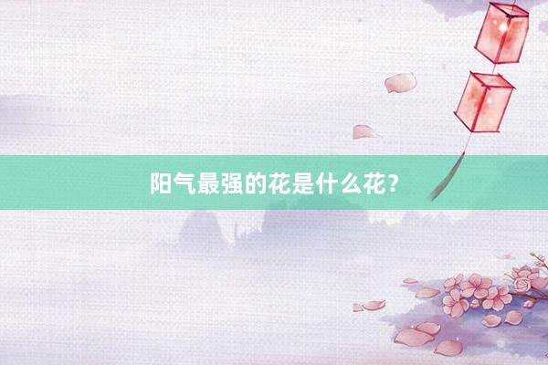 阳气最强的花是什么花？